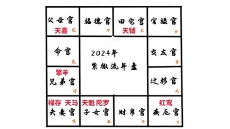 八字流年2024|震豐八字：紫微斗數2024流年命盤詳解